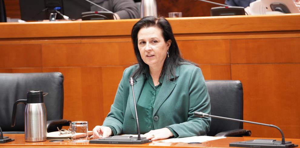 Rosa Charneca, directora general de Desarrollo Rural, ha comparecido en la Comisión de Agricultura de las Cortes de Aragón