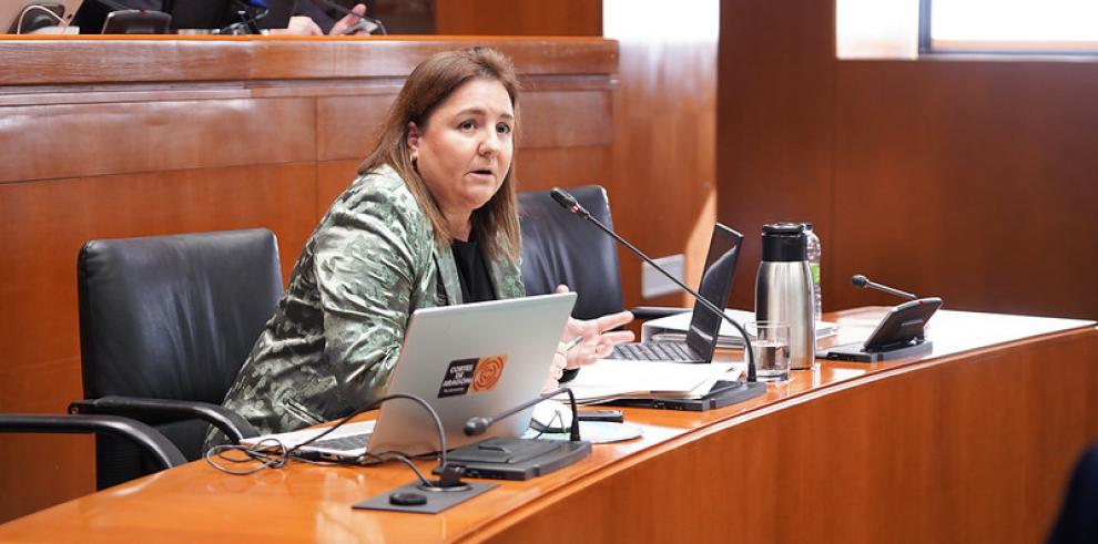 La directora gerente del INAEM, Ana López, ha comparecido en la Comisión de Economía, Empleo e Industria de las Cortes de Aragón