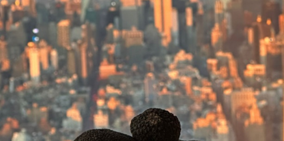 Investigadores del CITA difunden en  Nueva York  el conocimiento de la Trufa Negra