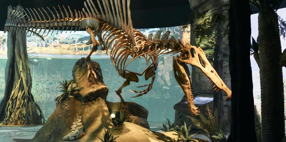 El Spìnosaurus del recorrido temático 'Mar Jurásico'.