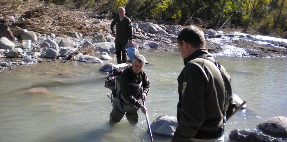El sábado 16 de marzo se abre la temporada de pesca de la trucha en Aragón