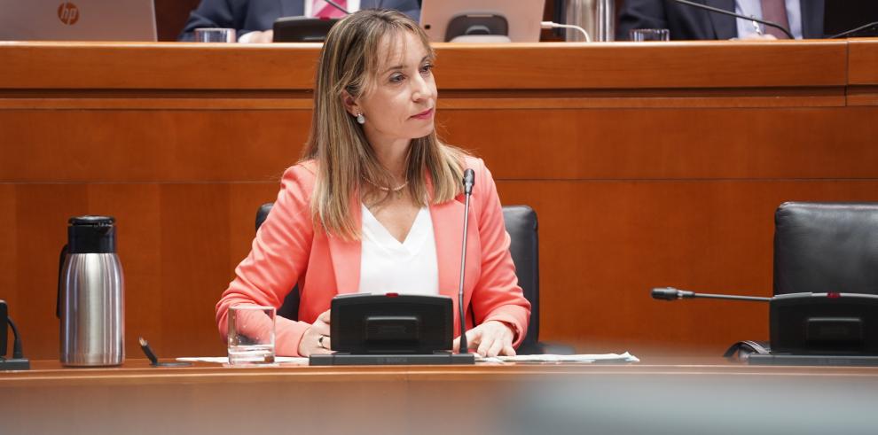 Raquel Campos durante su intervención en la Comisión de Fomento.