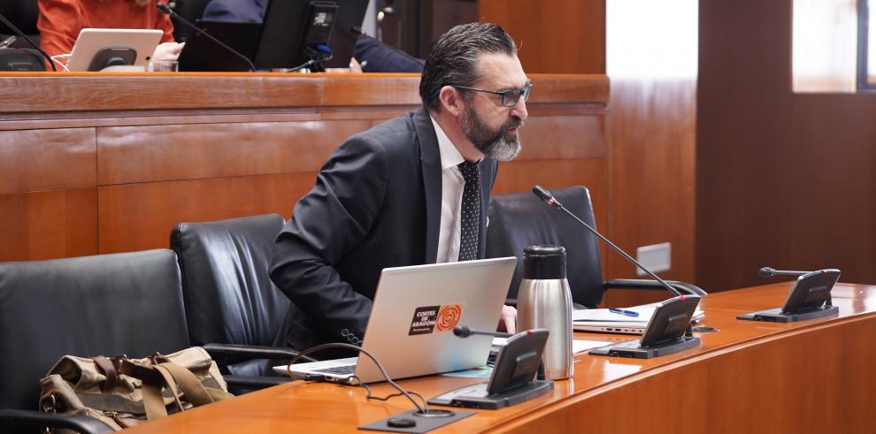 El director gerente de SARGA, Jorge Escario, en su comparecencia en las Cortes.