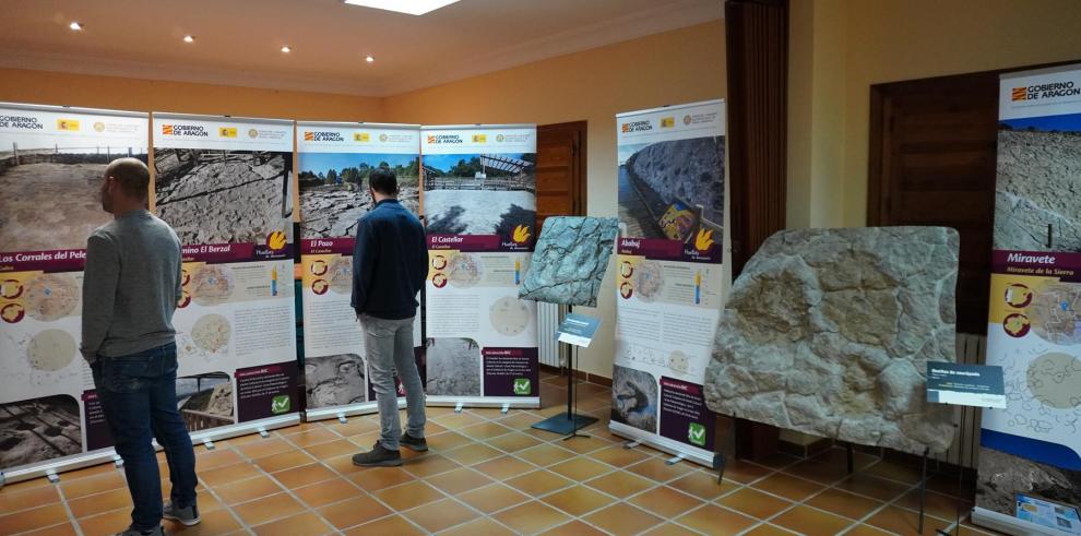 Imagen del artículo La muestra sobre los yacimientos paleontológicos BIC de Teruel llega a Forniche Alto con novedades
