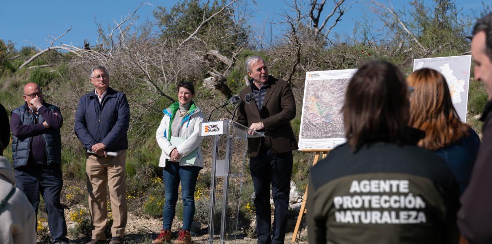 Imagen del artículo Azcón: El Plan de Reforestación se va a traducir en la plantación de 2 millones de árboles con una inversión de 10,2 millones de euros