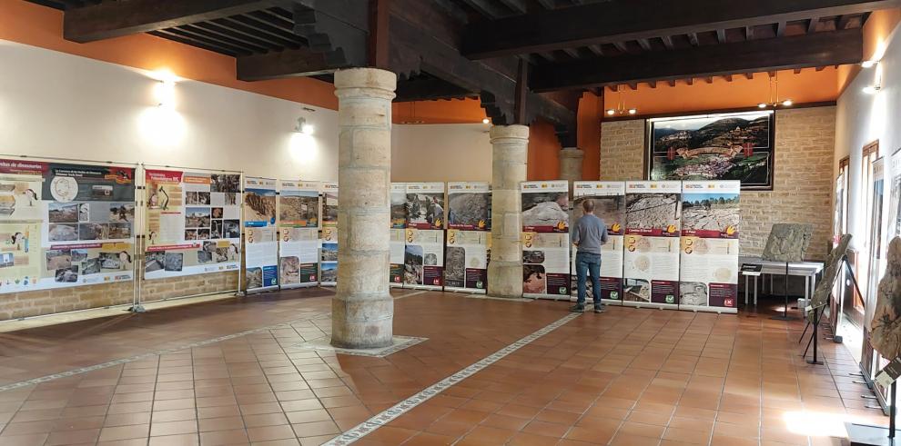 Imagen del artículo La exposición de los BIC paleontológicos llega a Linares de Mora
